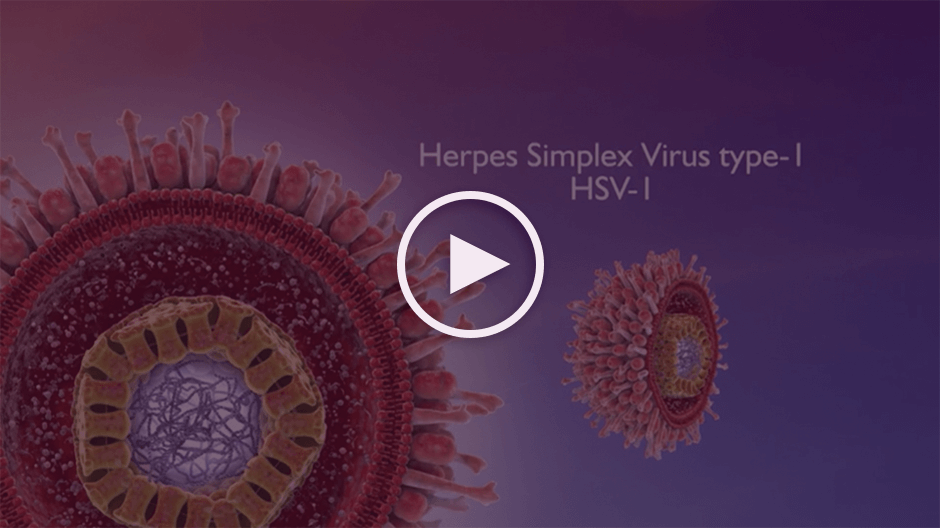 See Zirgan in action, watch the MOA video